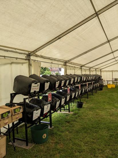 Bromley Cask festival