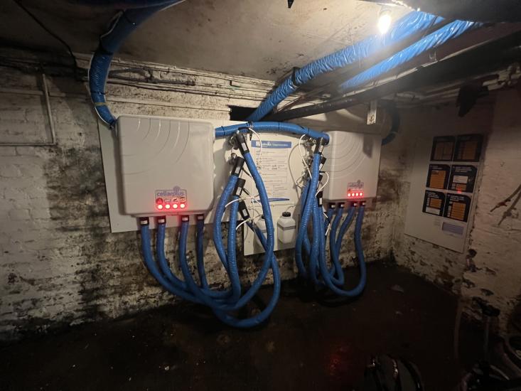 Cellar Plus