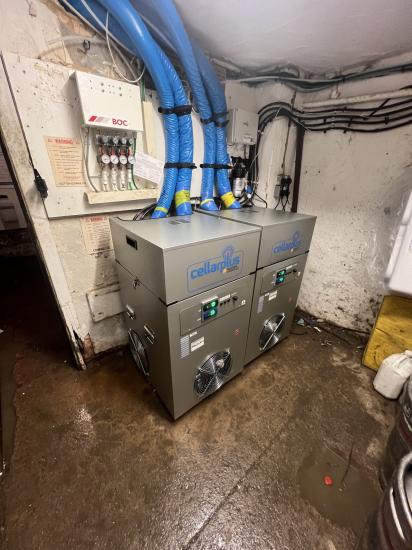 Cellar Plus coolers